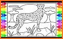 Cheetah coloring book related image