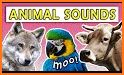 Animal Sounds and Fun Sound Effects related image