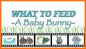 My Rabbit Feeding Guide related image