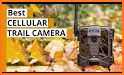 WingHomeCam: 4G Trail Camera related image