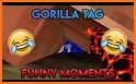 Funny Tags related image