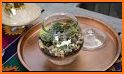 Gardenium Terrarium related image