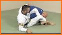 Non-Stop BJJ Butterfly Guard related image