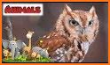 Wild Animal Sounds For Kids - Animals Ringtones related image