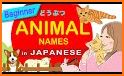 Montessori Vocabulary Animals - English & Japanese related image