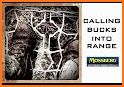 Whitetail Deer Hunting Calls related image