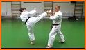 Karate Training related image