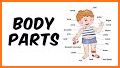 Learn Body Parts For Kids : Preschool Kids Learn related image