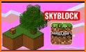 Maps for Minecraft PE: skyblock survival related image