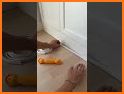 Fittora Fill: Gap Lock related image