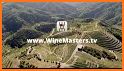 WineMasters.tv related image