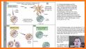 Immunology at a Glance, 10ed related image