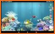 aniPet Marine Aquarium HD related image