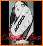 Accel Golf related image