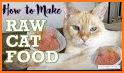 EASY HOMEMADE CAT FOOD RECIPES related image