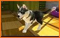 PS Vita Pets: Puppy Parlour related image