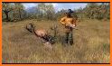 Real Animal Hunter - New Deer Hunting Games related image