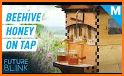 Honey Money: Idle Beehive Factory related image