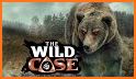 The Wild Case (Full) related image