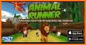 Animal Runner related image