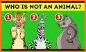 Animal Riddles related image