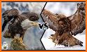 Virtual Pet Eagle related image