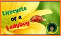 Goody Preschool Ladybugs related image