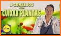 Consejos de cómo Cuidar Plantas y Jardines related image