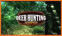 Wild Deer Hunt Animal Simulator related image