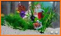 Betta Fish - Virtual Aquarium related image