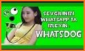 Axlog whatsapp için takip related image