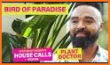 Plant Paradise related image