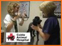 Mahomet Animal Hospital related image