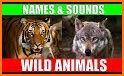 Animals names and sounds - No Ads related image