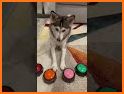 Communication Buttons - Video related image