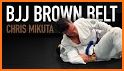 BJJ Brown Belt Requirements related image