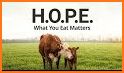 FMTV: Food Matters TV related image