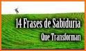 frases de sabiduria related image