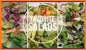 Best Salad Cookbook  - free salad recipes! related image