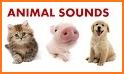 Animal Sounds for Kids Learning related image