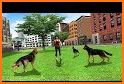 Dog Games - Pet Games & Dog Simulator related image