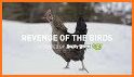 Revenge Classic Birds VKL related image