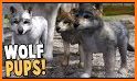 Wolf Simulator 2019: Family Survival related image