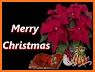 Merry Christmas Wishes, Quotes & Prayers related image