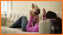 Banfield Pet Health Tracker related image