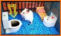 Escape Game Hamster House related image