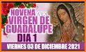 La Virgen De Guadalupe Oraciones, Novena y Rosario related image