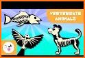 Parts of Animals (Vertebrates) related image