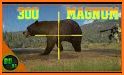 Wild Bear hunting FPS Game 2021 related image