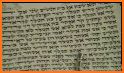 Megillas Esther - מגילת אסתר related image